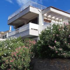 Nice house close to the sea