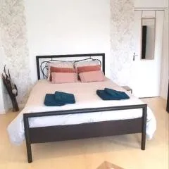 Location chambre spacieuse avec balcon et piscine