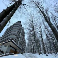 Środkowa widok na góry 1 piętro garaż gratis