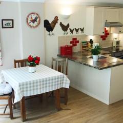 Rural Idyll for dog-lovers near the New Forest