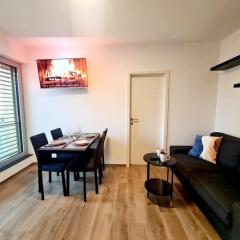 Luxury one bedroom with free parking