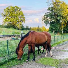 Caravane en pleine nature ferme proche de tout