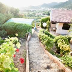Villa giulia