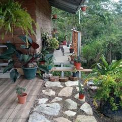 Hostal Seminia Lodge