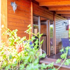 Domki Letniskowe Poznaniak 1