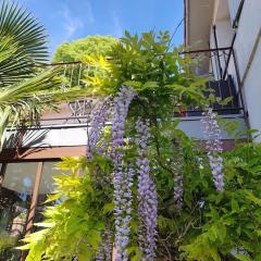 Appart climatisé Terrasse Vue sur Lyon et les quais de Saône