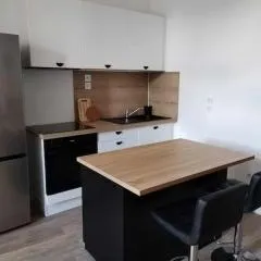 Large 40m2 Prox Lille-métro-tram