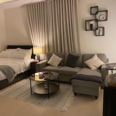 أستديو أنيق بإدخال ذاتي مقابل البوليفارد