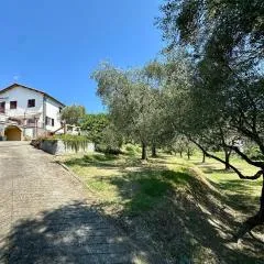 Agriturismo Uliveto Bartolomeo