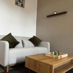 Grand appartement avec jardin - Centre ville