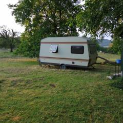 La Tanière de la Louve