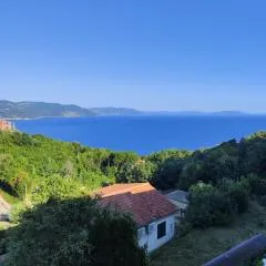 House Plavcic