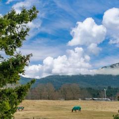 Riverside Haven - Turangi Holiday Home