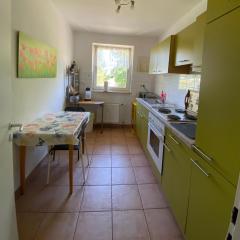 Ferienwohnung Schöneck beauty