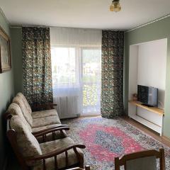 Apartament ultracentral Botis