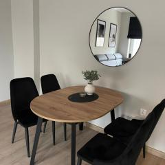 Central Apartment - przy Deptaku Boguslawa