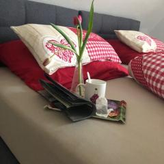 Ferienwohnung Silvaner in fränkischer Weinregion