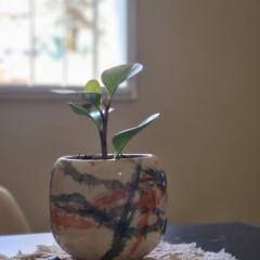 Apartamento Catamarca