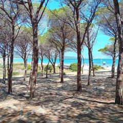 Suite Sardinia -Appartamento indipendente a Tanaunella