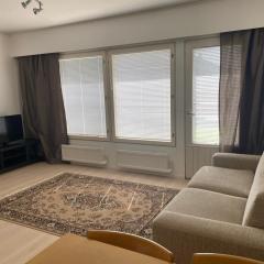 Viihtyisä itsepalvelumajoitus, tilava saunallinen yksiö