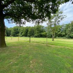 Studio au cœur de la nature