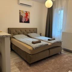 Suzannah Apartment by the Danube