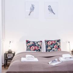 Brand NEW central AC apartment