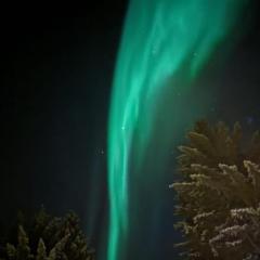 2. etg i Dampskipsbrygga, Lødingen havn