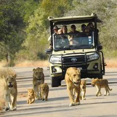 Ubuntu Bed and Breakfast