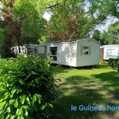 Le Guiness proche Europa Park et Rulantica