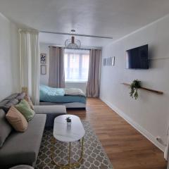 Grand studio Lille centre