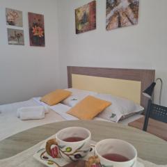 Zlatiborski konaci K14 A10