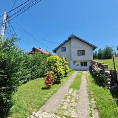 Large house for summer holidays