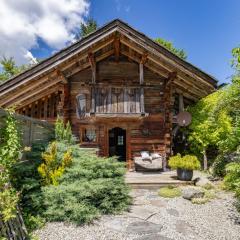 Chalet montagne Spa