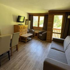 Appartement spacieux au pied des pistes avec piscine, sauna et balcon, Belle Plagne. - FR-1-181-2812