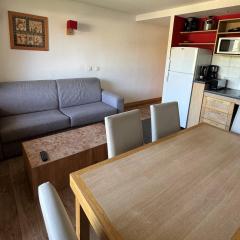 Confortable 3 Pièces au Pied des Pistes - Piscine, WiFi et Animaux Admis - FR-1-181-2817