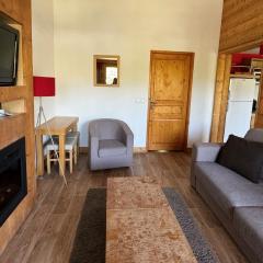 Appartement 3P, piscine chauffée, animaux admis, pieds des pistes - FR-1-181-2819
