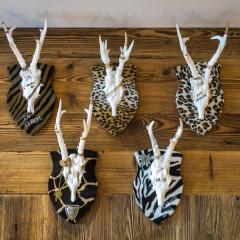 Apartment in Gerlos - Zillertal 49996