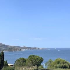 Appartement rénové T2 à Banyuls, climatisé, terrasse, parking, proche crique et thalasso - FR-1-309-235