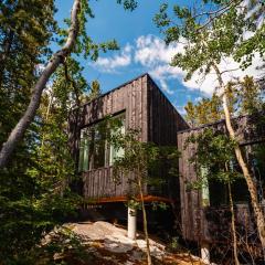 Black Spruce - Yellow Door