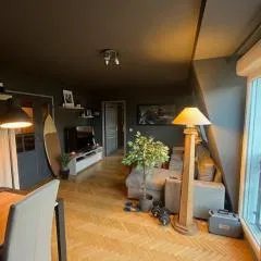 Appartement Cosy Le Chesnay