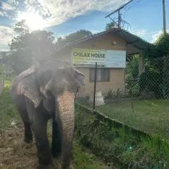 Chilax House and retreat