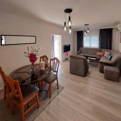 Comfort F & F Apartment