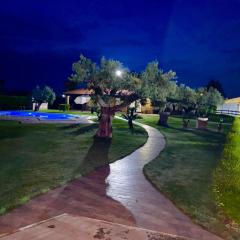 Giardino tra gli ulivi