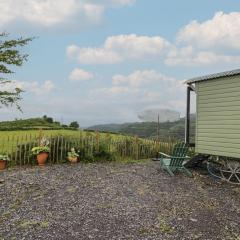 Shepherd's Hut at Penrallt Goch