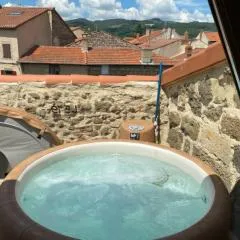 Le 19 - 38m2 Terrasse Jacuzzi - Centre Historique - Clim