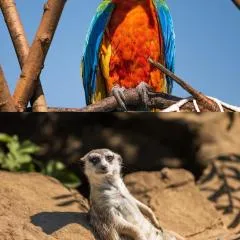 FAUNAPARK Lipová-lázně