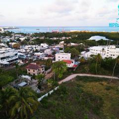 Sukha Hippocampus San Andrés Isla