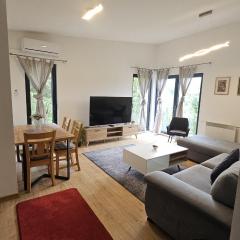 Sarajevo Hills,small villa with garden and garage,OLD CITY