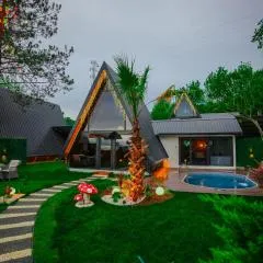 Sapanca PineLife